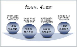 双百行动与国企转型 信息咨询服务产品手册深度解读